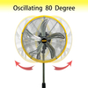 5000 CFM 20 inch High Velocity Pedestal Oscillating Fan, Powerful 1/5 HP Motor, 6FT Power Cord and Oscillation Standing Fan for Commercial or Industrial - UL Safety Listed